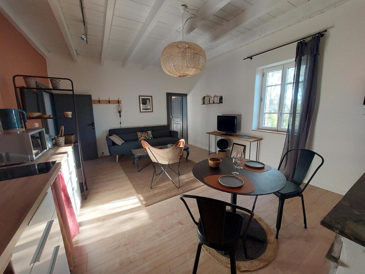 16 Bis-Gite-Hotel-Appartement Marssac-sur-Tarn エクステリア 写真