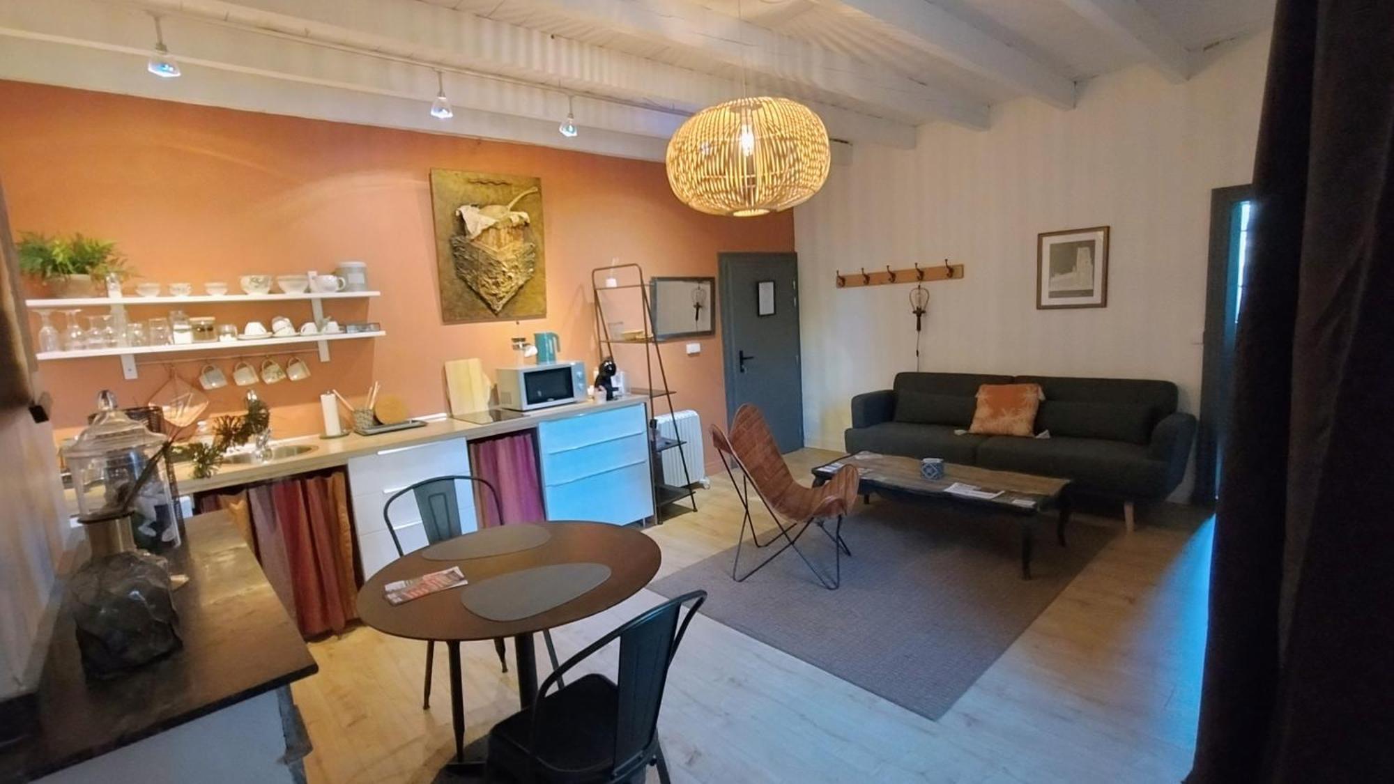 16 Bis-Gite-Hotel-Appartement Marssac-sur-Tarn エクステリア 写真